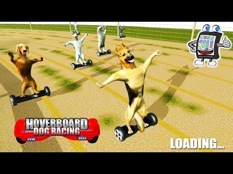 HOVERBOARD DOG RACING App Deutsch - WAS FÜR EINE VERRÜCKTE APP IST DAS DENN?! Hunde Rennen