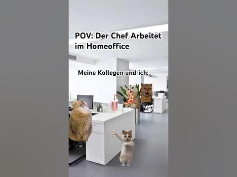 suche jobs im homeoffice