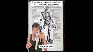 Insomniac anatomy academy 411: paper dolls. #science #stem #sciencefacts #anatomy #art