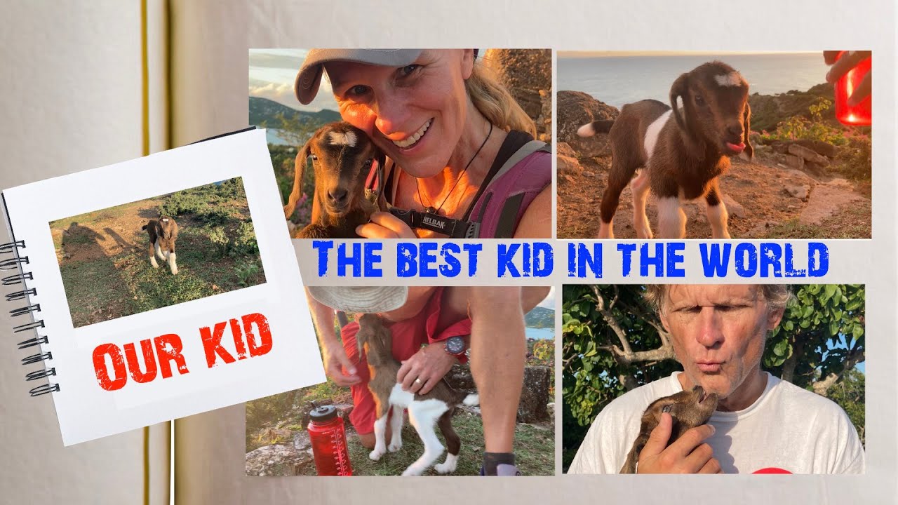 110: The CUTEST ANIMAL we have ever MET on our sailing adventures