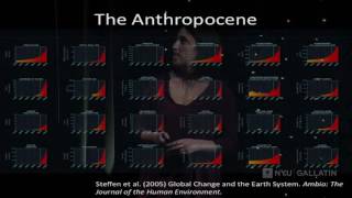 Senior Symposium: Emma Spett, The Conservationists Toolkit