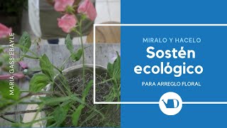 Cómo elegir la mejor esponja para flores naturales