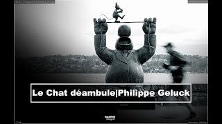 Le Chat déambule@Geneva by Philippe Geluck