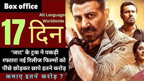 Jaat Box Office Collection Jaat Day 17 , Randeep Hooda,  Collection, Sunny Deol worldwide collection