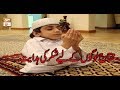 Watch Kahey Faqeer - 27th January 2019 - ARY Qtv Online In HD
