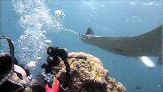 ヤップダイビングツアー2011 サザナミマリンダイビングスクール ヤップ島 検索動画22 ヤップダイビングツアー2011 サザナミマリンダイビングスクール ヤップ島 検索動画 22
