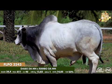 Nelore Cometa | 15º Leilão | Lote 05