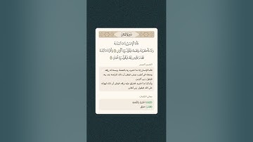 سورة الفجر #زكي_داغستاني