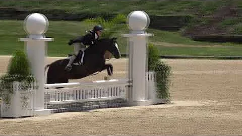 Video of ALL YOURS ridden by ANN FRANCES TRULUCK from ShowNet!