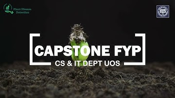 Plant Disease Detection Application In Python