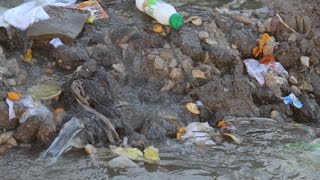 Вода затопила поселок Жасминный