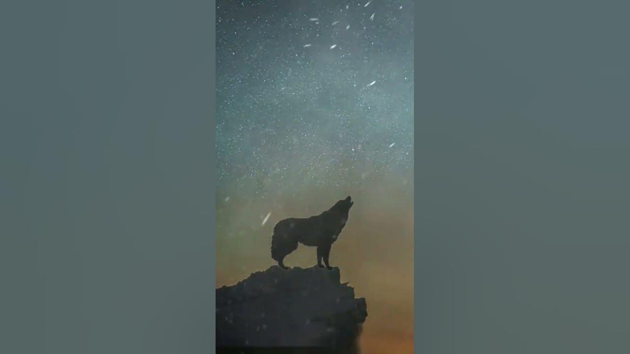 Волк дальнобой. Дальнобой волчий вой сотни верст. Вышивка волки луна. Дальнобойщик одинокий волк. Дальнобой волчий вой сотни верст.