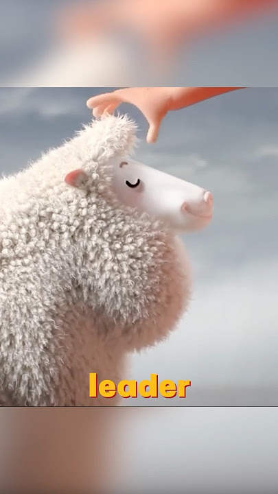 Lamb:what are you doing with my wool?stop it! #animation #short
