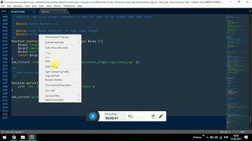 Add content/script files using WordPress wp_footer hook