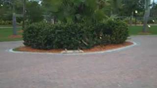 big slo mo ollie!