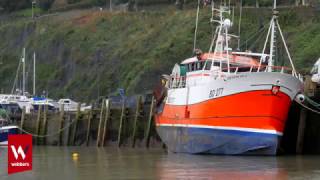 Ilfracombe Area Guide