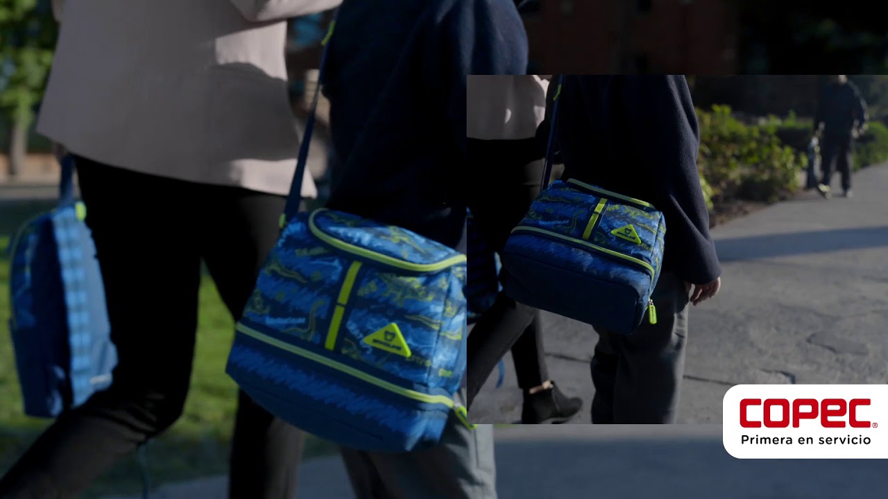 Bolsos Copec 2020 on Sale, UP TO 57% OFF | www.bravoplaya.com