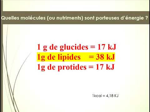 Vidéo: Comment Calculer L'alimentation