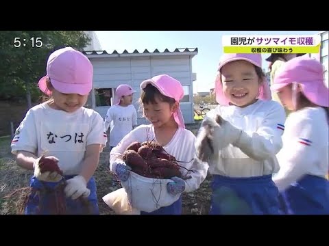 収穫の喜びを味わって 園児がサツマイモ収穫体験【佐賀県】 (20/10/26 18:46)