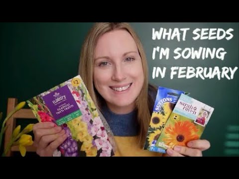 Video: What Flowers We Sow On Seedlings In February