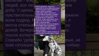 История про собаку и доброжелателей ✍ Зацените историю: Часть №278