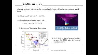 LISA, Extreme Mass Ratio Inspirals, and new fundamental fields in the gravity sector