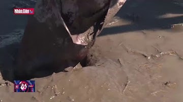 Đà Nẵng: Nguy cơ hạn hán do nắng nóng gay gắt kéo dài