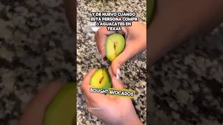 Frutas En Usa Parecen De Platicina