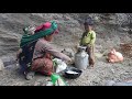 Village lifestyle in domestic animals farm area || Village Technology