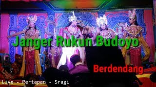 Janger Banyuwangi Rukun Budoyo - Live Pertapan - Sragi