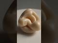 “Chewing Gum 7 Saal? Jhooth!”#ytshorts #facts #shortvideo