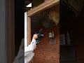 Blowing Bees Off Nest Reveals Queen Bee Pupa