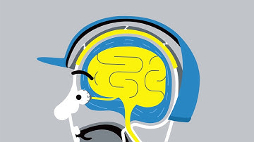 Charles Owen – How MIPS works | Ayr Equestrian