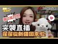 【宅宅直播間】突襲直播! 翟翟從新疆回來啦! 7/24(五)20:15 臨時開播~ 歡迎老朋友新朋友加入