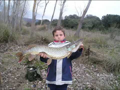 pesca del lucio y bass