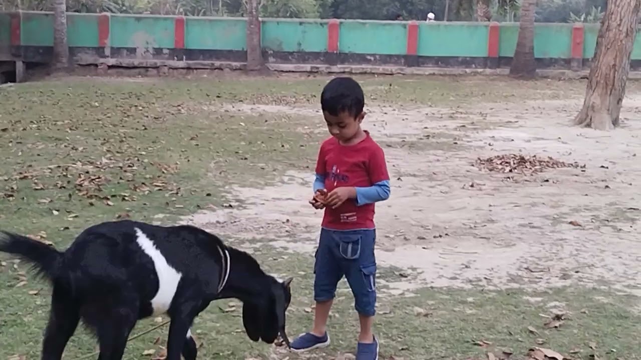 Farhan playing _2025