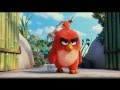 Angry birds the movie teaser trailer