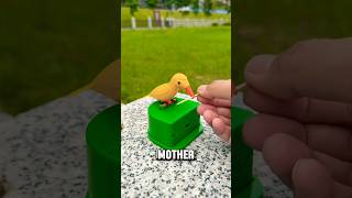The Stickeating Duck