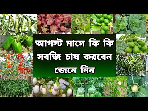 ভিডিও: আগস্টে কী রোপণ করবেন