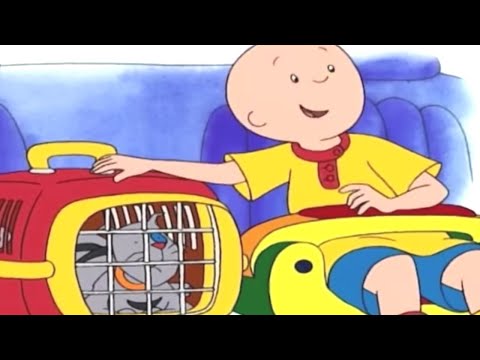 Caillou Türkçe HD - Caillou'nun Veterinere Gezisi | kayu cizgi filmi | çizgi filmleri çocuklar için