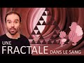 Une fractale dans le sang  micmaths