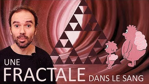 Une fractale dans le sang - Micmaths
