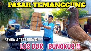 MASIH BERBURU MERPATI GIRINGAN DIPASAR TEMANGGUNG TES TERBANG COCOK BUNGKUS 