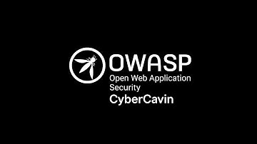 Mastering Web Application Security: All++ Real-World Vulnerabilities Series by CyberCavin