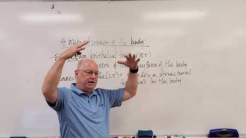 Professor Long - Lecture 2.1 Intro to Tissues and Epithelial Tissues