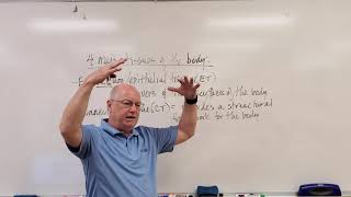 Professor Long - Lecture 2.1 Intro to Tissues and Epithelial Tissues
