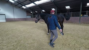 Daily TRT 08 - Preparing for trailer loading