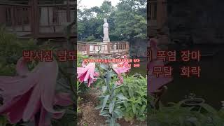 #현역가왕2대 #박서진 #남도가는길 #공주에서#살림남 #별아별아#님이여 #미스터트롯2토크콘서트 #미스터트롯2 #미스터미스터 #한일톱텐쇼  #갈라쇼 #coffee #kpop