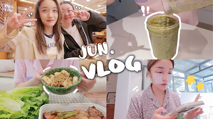 VLOG#48｜陽光和雨季的六月｜有朋自遠方來｜終於收穫了羅勒做了羅勒醬｜旅遊回家後的輕食計劃｜徐州開了鮑師傅！｜我的下一個旅遊計劃... - 天天要聞