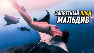 видео: #62 Дикие Мальдивы! Локальные острова Fehendhoo и Fulhadhoo, настоящий рай для туриста. картинка: #62 Дикие Мальдивы! Локальные острова Fehendhoo и Fulhadhoo, настоящий рай для туриста.